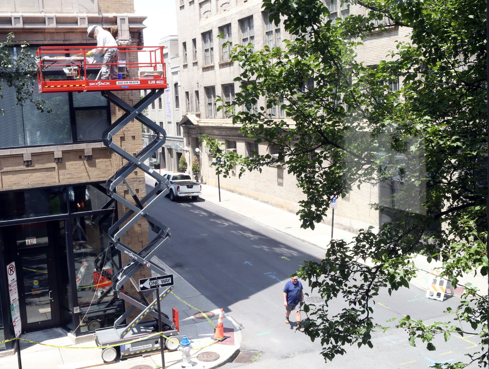 Honeybee removal